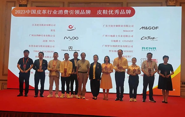 辛迪丹頓鞋業(yè)榮獲中國(guó)皮革行(xíng)業(yè)消費(fèi)引領品牌“皮鞋優秀品牌”